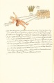 Click on image to enlarge