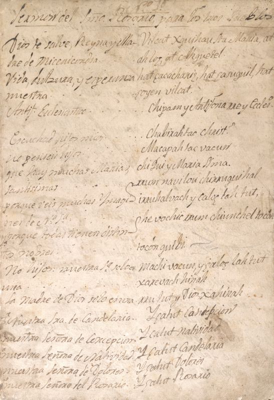 ms_coll_700_item63_wk1_body0013