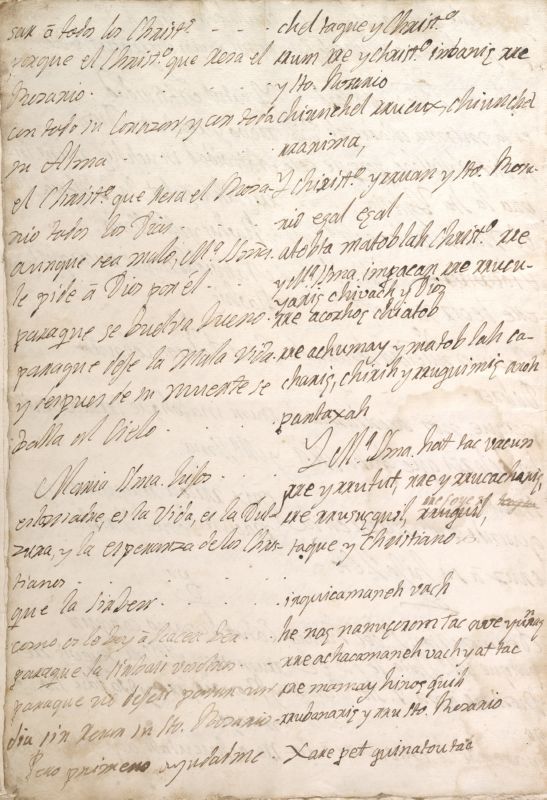 ms_coll_700_item63_wk1_body0016