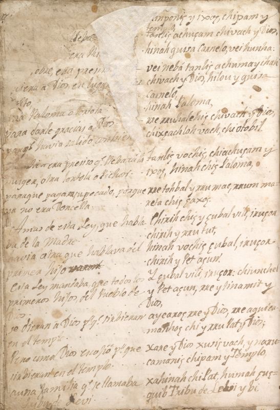 ms_coll_700_item63_wk1_body0074