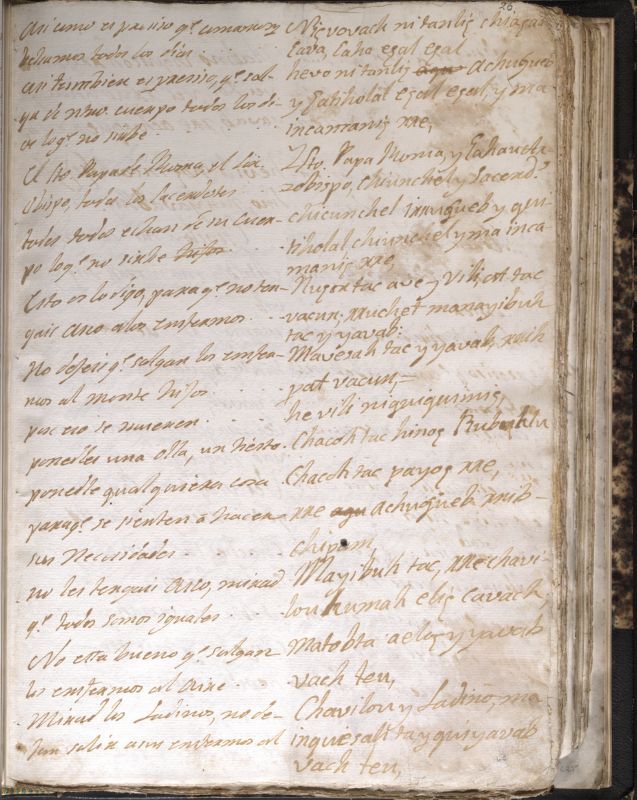 ms_coll_700_item63_wk1_body0123