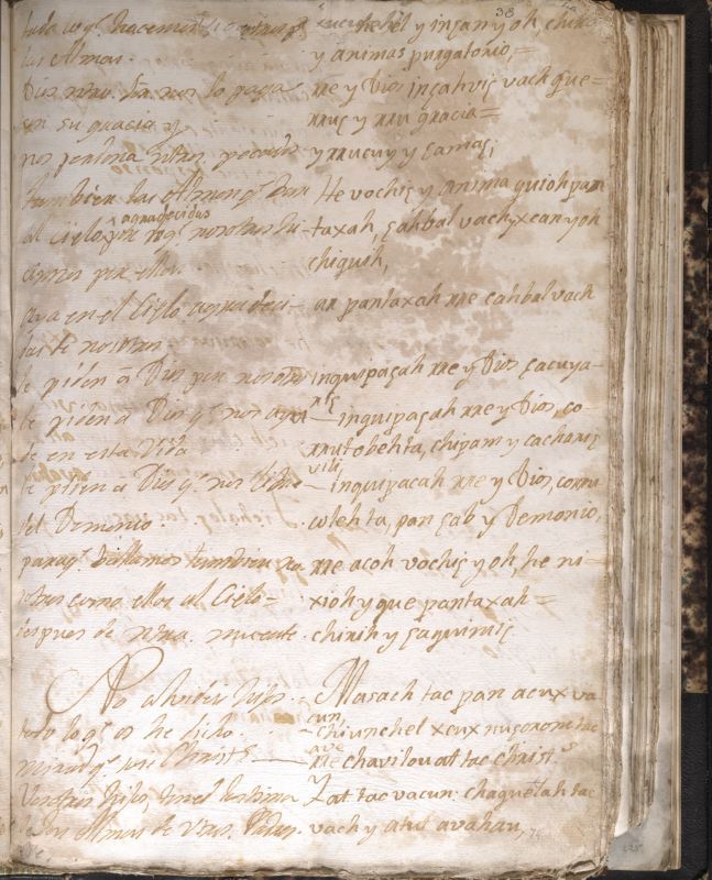 ms_coll_700_item63_wk1_body0147