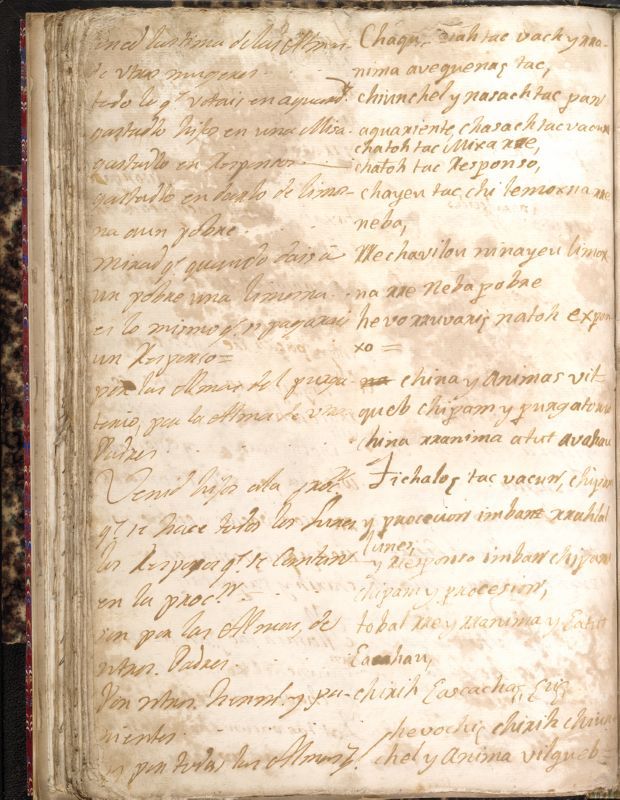 ms_coll_700_item63_wk1_body0148