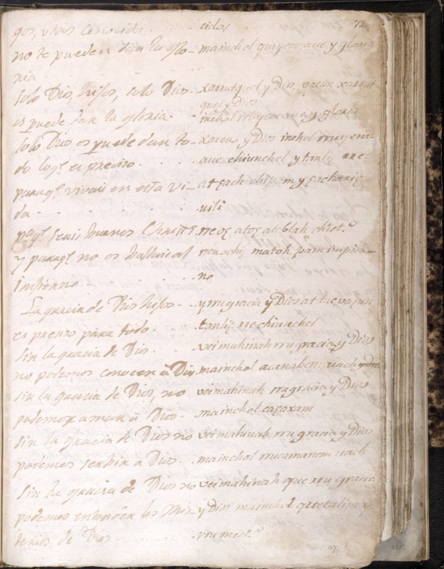 ms_coll_700_item63_wk1_body0213